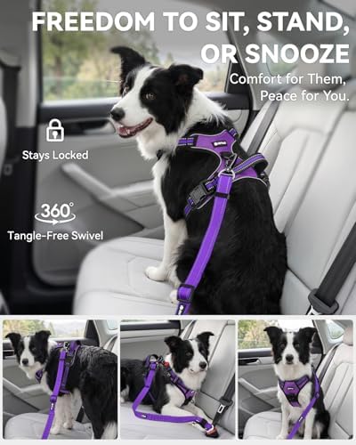 Joytale 3-in-1 Bungee Dog Seat Belt for Car, Medium and Large Dogs, Purple - Image 5