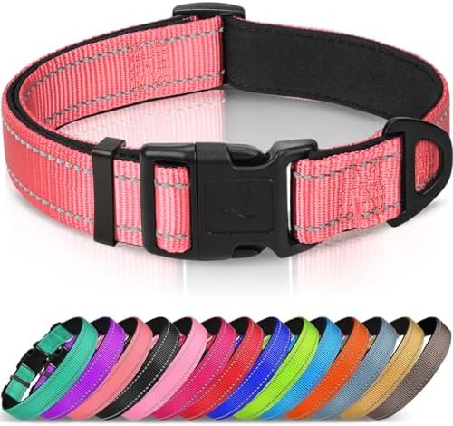 Joytale Reflective Dog Collar, Adjustable Neoprene Padded, Neon Pink M by Joytale