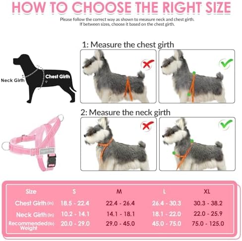 SlowTon No Pull Dog Harness and Leash Set - Heavy Duty, Soft Padded - Image 6