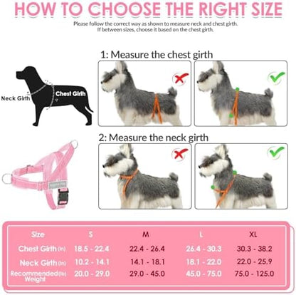 SlowTon No Pull Dog Harness and Leash Set - Heavy Duty, Soft Padded - Image 6