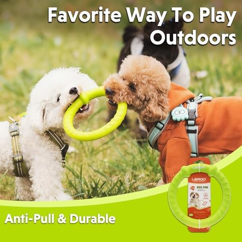 LaRoo Dog Chew Ring Toy for Small Dogs, Durable EVA Floating Puppy Teething Chew Toy, Interactive Tug of War Fetch Toy for Dental Cleaning & Outdoor Play (Green) - Image 2