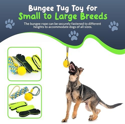 Bungee Tug Toy for Dogs - Outdoor Tree Rope Tether Tug 5 Pack - Spring Pole Dog Toy for Small to Large Breeds - Backyard Flirt Pole Exercise Toy - Image 2