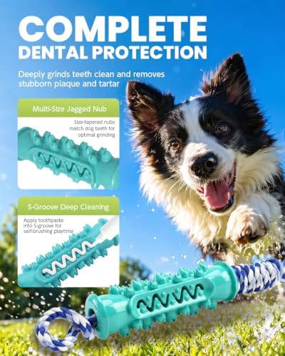 Dog Chew Toys for Medium Large Dogs, Toothbrush Toy with Rope, Blue - Image 3