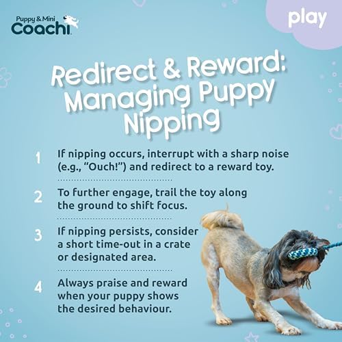 Coachi Puppy & Mini Tuggi Helix - Dog Toy for Tug of War & Play - Image 5
