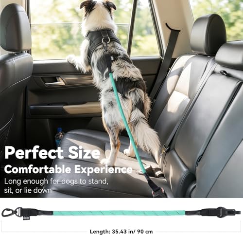 Universal Dog Seat Belt for Car, Dog Car Seatbelt, Cyan - Image 5