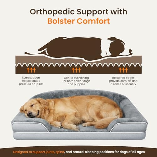 Orthopedic Dog Bed for Extra Large Dogs, 45"x30" XL Dog Couch Bed - Image 4