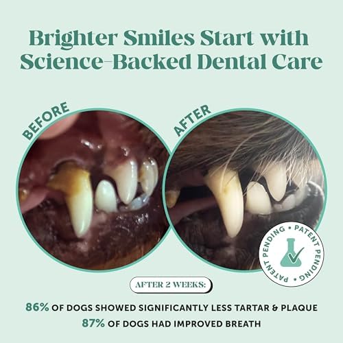 Pet Honesty Vet Approved Dog Teeth Cleaning Powder, 30 Servings - Image 3