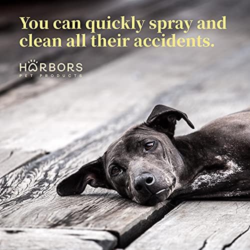 Harbor's Orange Deodorizer and Pet Stench Eliminator. Removes Dog & Cat Urine. Cleans Rugs, Furniture, and Mattresses with Pleasant Natural Aroma. Bottle of Concentrate Makes 1 Gal of Spray. - Image 5