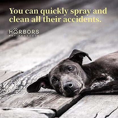 Harbor's Orange Deodorizer and Pet Stench Eliminator. Removes Dog & Cat Urine. Cleans Rugs, Furniture, and Mattresses with Pleasant Natural Aroma. Bottle of Concentrate Makes 1 Gal of Spray. - Image 5