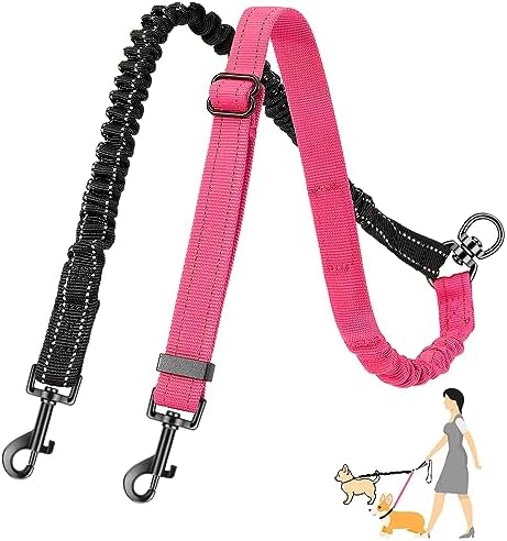 AUTOWT Two Dog Lead, 2 in 1 Upgraded Double Dog Leash Attachment Combine Adjustable Strap and Shock Absorbing Bungee No Tangle Dual Training Splitter for Different Size Dogs by AUTOWT