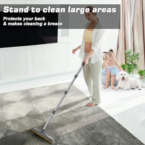 B-Land Carpet Rake for Pet Hair Removal, Reusable Carpet Scraper for Rug - Image 4