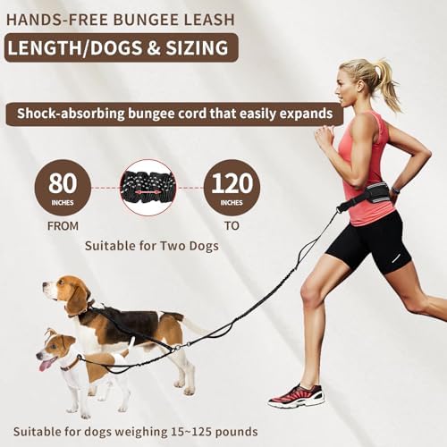 Hands Free Dog Leash for 2 Dogs Up to 250 lb, Waist Pouch, Lumbar Support - Image 5