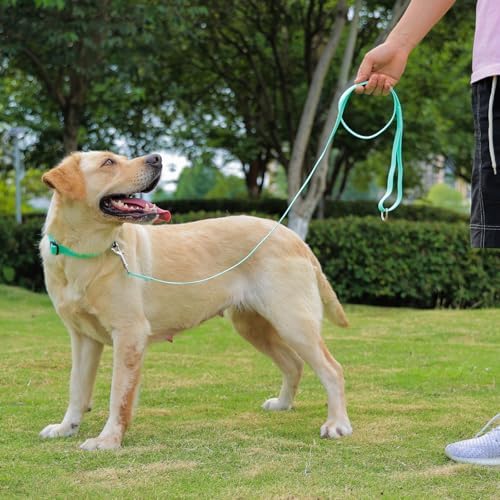 Waterproof Dog Leash, 5/6 FT Durable Odor-Proof Dog Leashes with Strong Metal Hooks Fits Small Medium or Large Dogs (Mint Green, 6FT - 1 inch Width) - Image 6