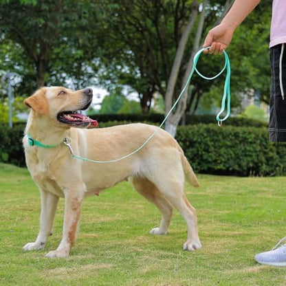 Waterproof Dog Leash, 5/6 FT Durable Odor-Proof Dog Leashes with Strong Metal Hooks Fits Small Medium or Large Dogs (Mint Green, 6FT - 1 inch Width) - Image 6