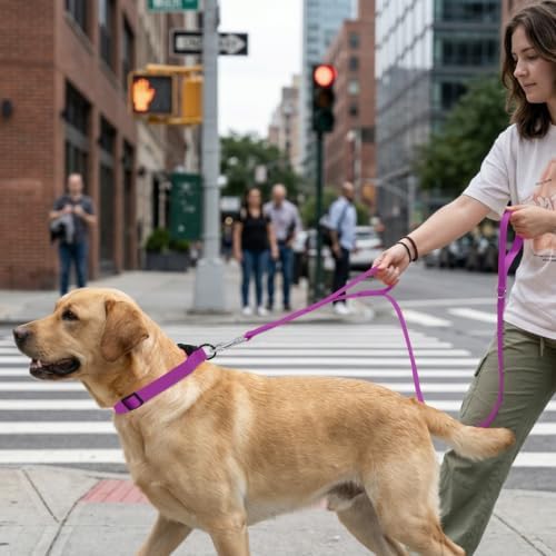 Waterproof Dog Leash with Double Handle, 6 FT Durable Odor-Proof Dog Leashes with Strong Aviation Aluminum Hooks Fits Small Medium or Large Dogs - Image 6