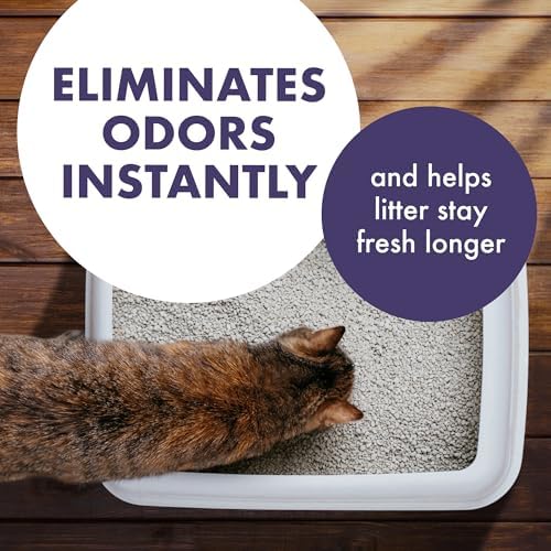 ARM & HAMMER Forever Fresh Cat Litter Deodorizer, 30 oz, 6-Pack - Image 2
