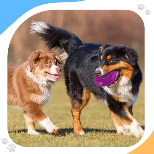 Silipull 4 Pcs Spiky Dog Toy Ball for Large Dogs, Fresh, Various Sizes - Image 6