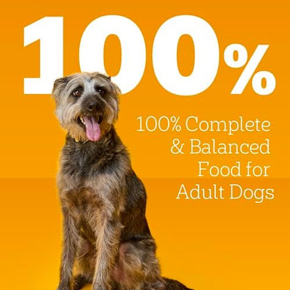 Pedigree Chopped Dinner Wet Dog Food Pouch, Variety Pack, 3.5 oz, 30 Count - Image 4