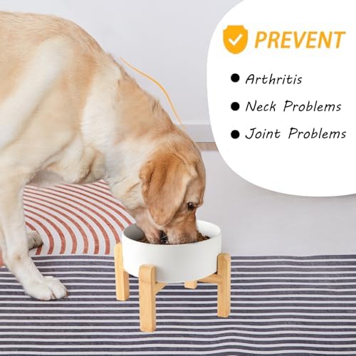 6'' Ceramic Raised Dog Bowl - 30Oz Dog Food & Water Bowl with Elevated Non-Slip Bamboo Stand, Dishwasher & Microwave Safe, Anti Vomiting Heavy Duty Pet Bowl for Small and Medium Dogs, White - Image 5