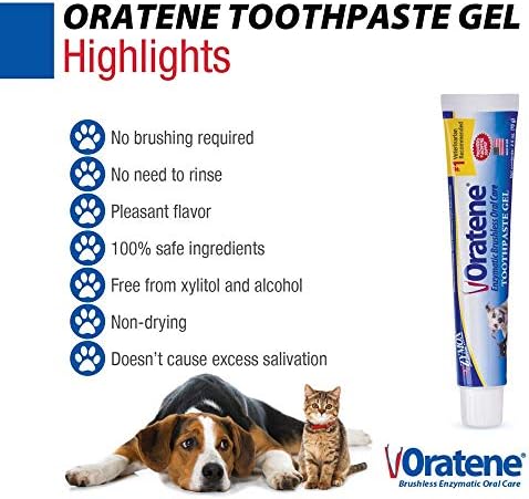 Pet King Brands ZYMOX Oratene Brushless Toothpaste Gel for Dogs and Cats, 2.5oz - Image 3