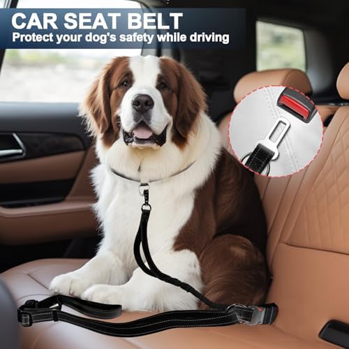 Heavy Duty Hands Free Dog Leash with Quick Release Carabiner and Adjustable No Pull Bungee Dog Running Waist Leash，for Walking and Training with Car Seat Belt 4-6FT (Black) - Image 6