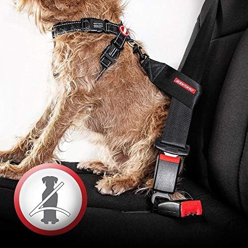 EzyDog Chest Plate No Pull Dog Harness, Escape Proof - Small, Corduroy - Image 2
