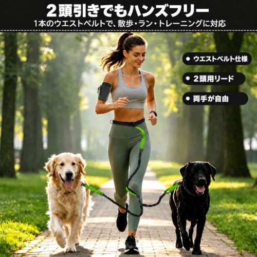 Hands Free Double Dog Leash, 4 Reflective Padded Handles, Adjustable Waist Belt 27-51", Shock-Absorbing Bungee, 360° Swivel Clips, for Small, Medium & Large Dogs, Walking Jogging Running - Image 2