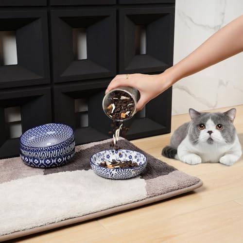 Selamica 5.6 Inch Ceramic Cat Bowls, Set of 6, Vintage Blue - Image 4