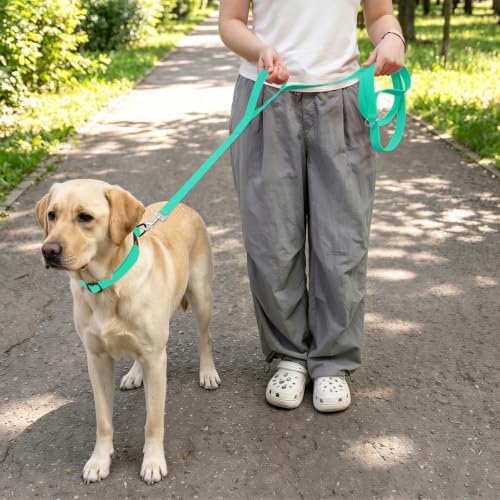 Waterproof Dog Leash with Double Handle, 6 FT Durable Odor-Proof Dog Leashes with Strong Aviation Aluminum Hooks Fits Small Medium or Large Dogs - Image 6