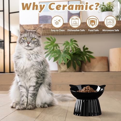 Ceramic Raised Cat Bowl，Tilted Raised Bowl Anti Vomit for Indoor Cats Whisker Friendly Pet Feeder for Cats Puppies, Microwave and Dishwasher Safe (Black) - Image 2