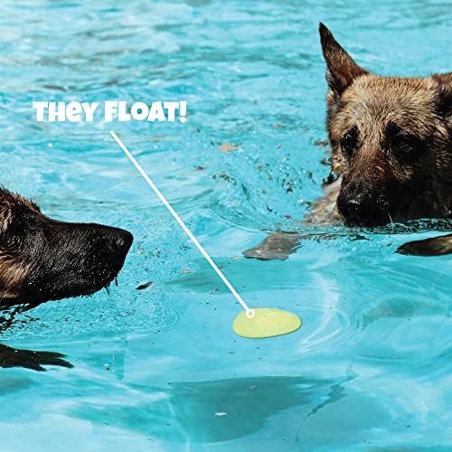 Skip NN' Fetch Small/Medium Floating Dog Toys Qty 2 | Stone Skipping Meets Fetch | Fun for Swimming Pool, Lake, Beach, and Land | Perfect Floating Water Toys for Small/Medium Dogs | - Image 4