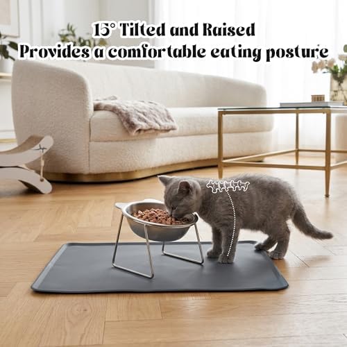 Elevated Cat Bowl with Food Mat - 15°Tilted Stand Raised Cat Bowl, Stainless Steel Whisker Friendly Anti Vomiting Food Water Dishes, Silicone Feeding Mat for Cats Puppy Kitten Small Dog - Image 3