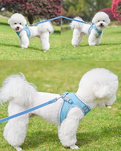 Petank Step in Dog Harness No Pull and Leash for Small Medium Dogs Cats. - Image 2