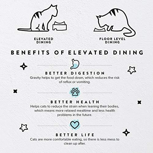 CatGuru Food Table for Cat Bowls, Elevated Feeding Station for Cat Food Bowl, Raised Stand for Pet Food and Water Bowls, Pet Feeder for Indoor Cats, Stress Free Stand for Pet Dishes or Plates (Aruba) - Image 2