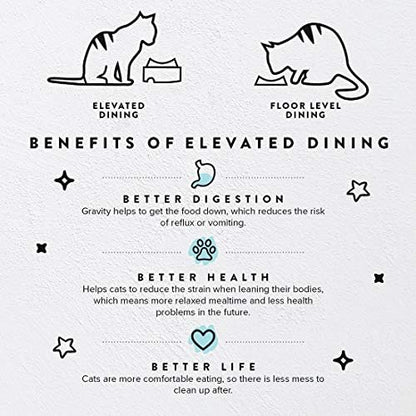 CatGuru Food Table for Cat Bowls, Elevated Feeding Station for Cat Food Bowl, Raised Stand for Pet Food and Water Bowls, Pet Feeder for Indoor Cats, Stress Free Stand for Pet Dishes or Plates (Aruba) - Image 2