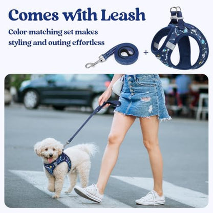 rabbitgoo Dog Harness Small Sized and Leash Set, Step-in Puppy Pet Vest - Image 6