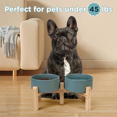 SPUNKYJUNKY Elevated Dog Bowls Ceramic, 6.1'' Dogs and Cat Food Water Bowls Raised with Non-Slip Bamboo Stand for Medium Sized Breed Microwave Dishwasher Safe - 28.7 OZ,Dark Green - Image 7
