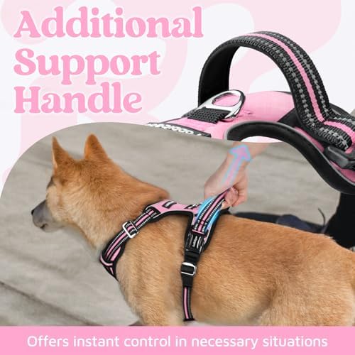 rabbitgoo Dog Harness Medium Sized, No Pull 3 Buckles Easy On & Off - Image 4