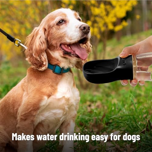 Mr. Pen- Portable Dog Water Bottle, 19 oz, Large - Image 4
