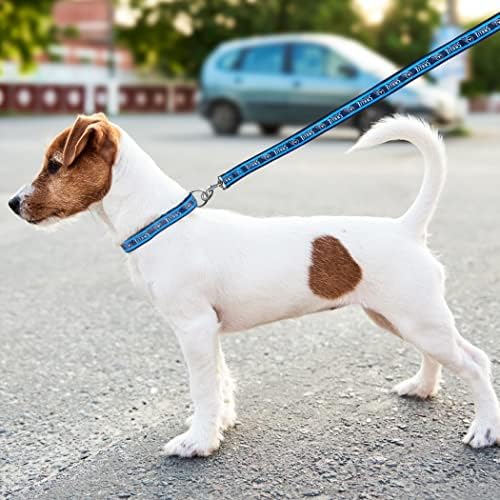 Pets First NFL Tennessee Titans Licensed PET COLLAR, Large - Heavy-Duty, Strong, and Durable Dog Collar. Available in 31 Football Teams and 4 Sizes - Image 6