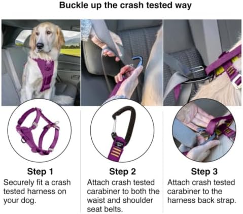 Kurgo Enhanced Strength Tru-Fit Smart Harness, Deep Violet, Medium - Image 5