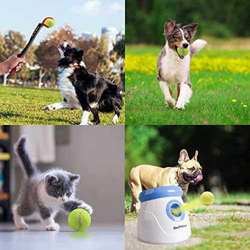 Pet Prime Dog Toy Tennis Ball 6 Pcak 2 Inch for Automatic Ball Lanucher Interactive Pet Balls for Exercise Training Play Fetch for Small to Meidum Breed - Image 6