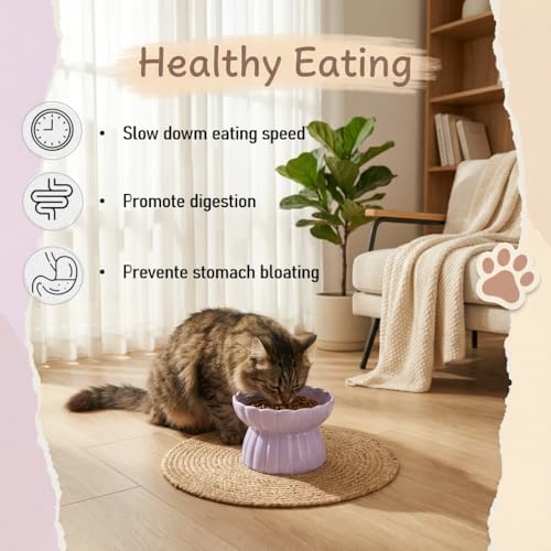 Ceramic Cat Slow Feeder, Raised Slow Feeder Cat Bowl, Anti Vomiting and Whisker Friendly Kitty Dish, Elevated Puppy Kitten Food Bowl for Dry and Wet Food (Purple) - Image 3