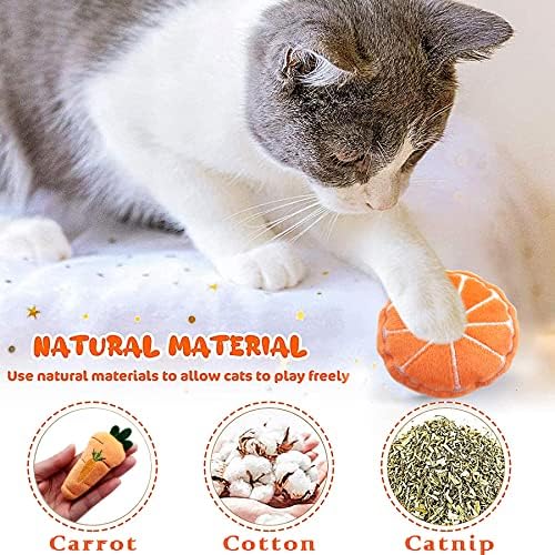 Mini Cat Catnip Toys for Indoor Cats 10 Pack - Image 5