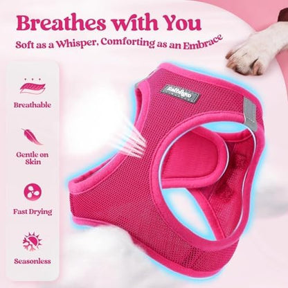 rabbitgoo Dog Harness Medium Sized and Leash Set, Step-in Puppy Pet Vest - Image 4