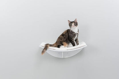 Trixie Lea Wall Mount Perch XXL, Cat Shelf with Soft Plush Cushion Bed, Ideal for Large Cats, 11 x 19-inches, White (44579)