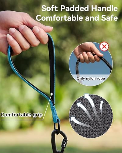 Joytale Long Dog Leash for Yard Tie Out & Recall Training, Blue, 50FT - Image 3
