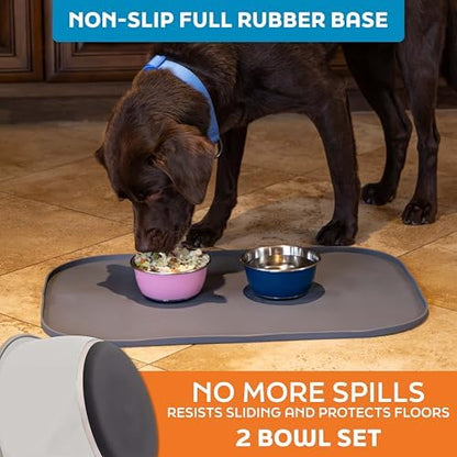 Master Pet Supply Stainless Steel Dog Bowls Set of 2 - Bone White - 16 Oz - Image 4
