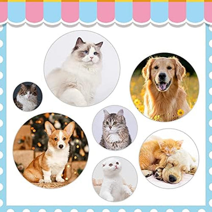 Cat Brushes for Indoor Cats, Dog Brush for Shedding with Metal Cat Comb, Self Cleaning Pet Hair Brush with Release Button for Grooming Kitten(Purple) - Image 5