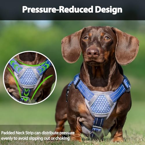 Huntboo Escape Proof Dog Harness, Dachshund Harness, Reflective Dog Harness with Handle, Durable,Adjustable Vest for Small Medium Large Dogs Walking, Training, and Running Gear (Technicolor Blue,XL) - Image 5